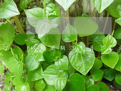 钱站逾期三个月了怎么办 钱站逾期三个月了怎么办
