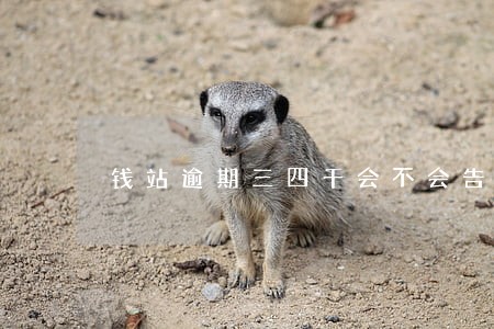 钱站逾期三四千会不会告到法院 钱站逾期三四千会不会告到法院