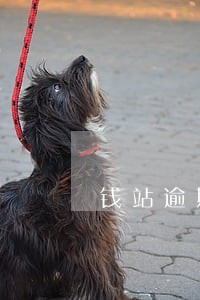 钱站逾期三天了怎么处理 钱站逾期三天了怎么处理
