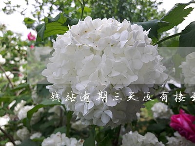钱站逾期三天没有接到电话 钱站逾期三天没有接到电话