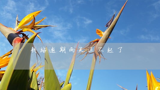 钱站逾期两天还不起了
