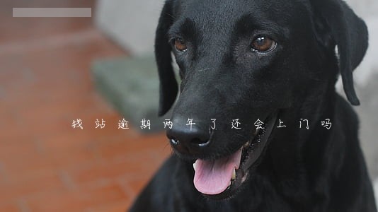 钱站逾期两年了还会上门吗