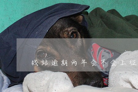 钱站逾期两年会不会上征信 钱站逾期两年会不会上征信