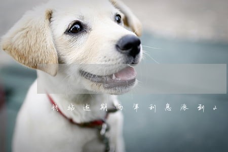 钱站逾期两年利息涨到20万
