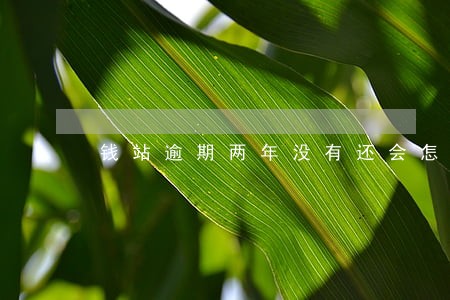 钱站逾期两年没有还会怎么样最新 钱站逾期两年没有还会怎么样最新