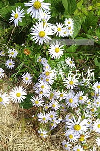 钱站逾期了4年还本金 钱站逾期了4年还本金