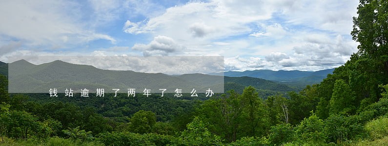 钱站逾期了两年了怎么办 钱站逾期了两年了怎么办