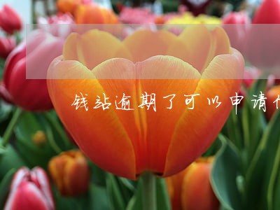 钱站逾期了可以申请信用卡吗 钱站逾期了可以申请信用卡吗