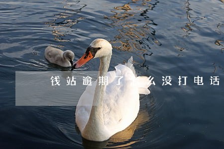 钱站逾期了怎么没打电话 钱站逾期了怎么没打电话