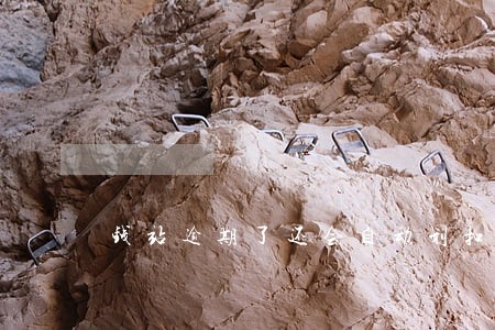 钱站逾期了还会自动划扣吗 钱站逾期了还会自动划扣吗