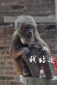 钱站逾期了还款后还会上征信吗 钱站逾期了还款后还会上征信吗