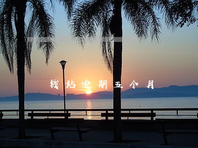 钱站逾期五个月 钱站逾期五个月