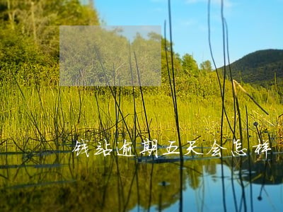 钱站逾期五天会怎样 钱站逾期五天会怎样