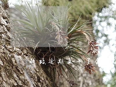 钱站逾期五年了会给公司打电话吗 钱站逾期五年了会给公司打电话吗
