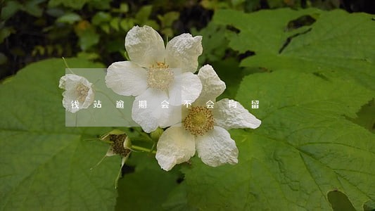 钱站逾期会不会拘留 钱站逾期会不会拘留