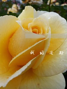 钱站逾期会冻结卡不 钱站逾期会冻结卡不
