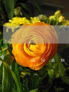 钱站逾期会封停银行账号吗 钱站逾期会封停银行账号吗