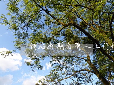 钱站逾期会有人上门催收吗