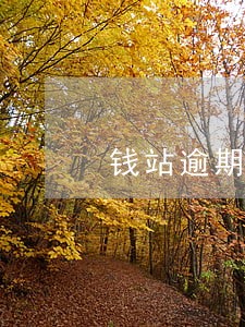 钱站逾期会爆通讯录么 钱站逾期会爆通讯录么