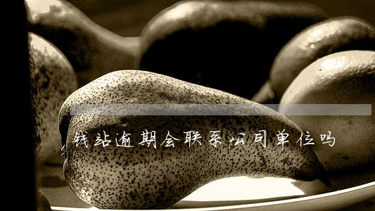 钱站逾期会联系公司单位吗 钱站逾期会联系公司单位吗