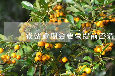 钱站逾期会要求提前还清 钱站逾期会要求提前还清