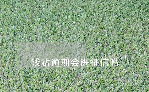 钱站逾期会进征信吗 钱站逾期会进征信吗