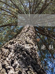 钱站逾期会通知家属嘛 钱站逾期会通知家属嘛