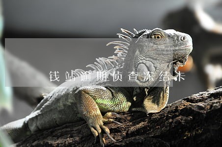 钱站逾期侦查冻结卡 钱站逾期侦查冻结卡