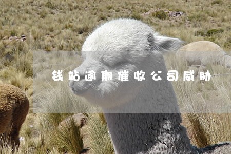 钱站逾期催收公司威胁 钱站逾期催收公司威胁