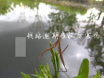钱站逾期催收厉害吗 钱站逾期催收厉害吗
