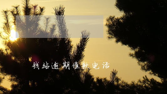 钱站逾期催款电话 钱站逾期催款电话