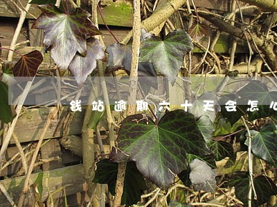 钱站逾期六十天会怎么样 钱站逾期六十天会怎么样