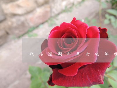 钱站逾期几天打电话催收