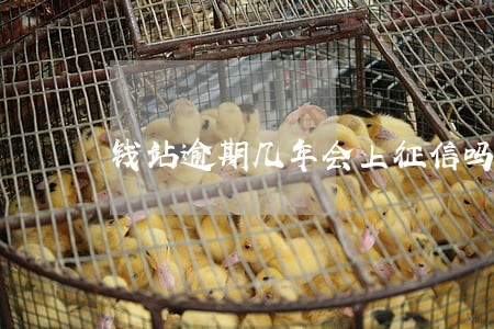 钱站逾期几年会上征信吗