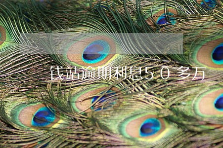 钱站逾期利息50多万
