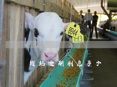 钱站逾期利息多少