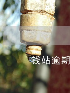 钱站逾期半年啥时候可以重借