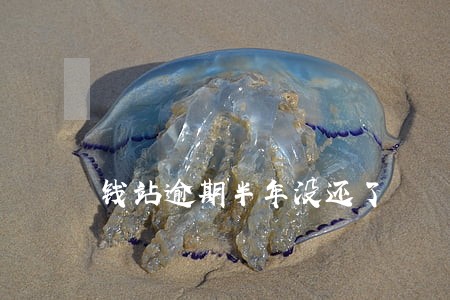 钱站逾期半年没还了