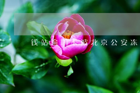 钱站逾期卡被北京公安冻结