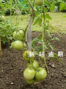 钱站逾期去哪里投诉
