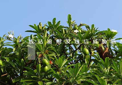 钱站逾期发短信威胁恐吓什么罪 钱站逾期发短信威胁恐吓什么罪
