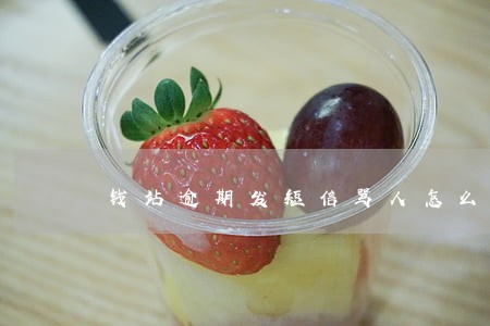 钱站逾期发短信骂人怎么办