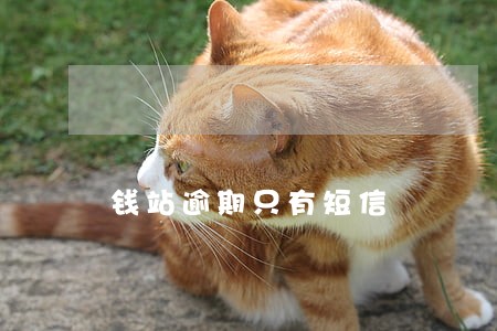 钱站逾期只有短信