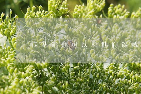 钱站逾期可以和他们谈减免吗