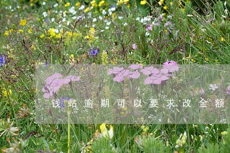 钱站逾期可以要求改金额还吗 钱站逾期可以要求改金额还吗