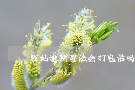 钱站逾期司法会打电话吗