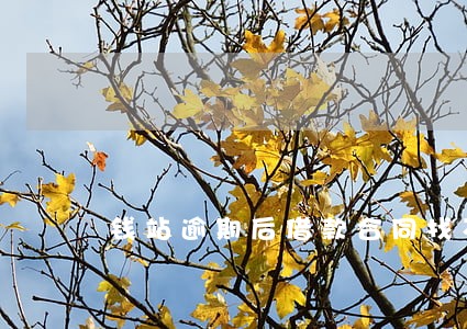 钱站逾期后借款合同找不到了