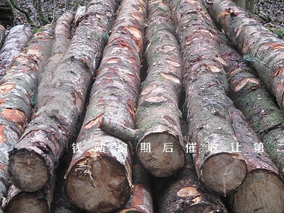 钱站逾期后催收让第二次贷款
