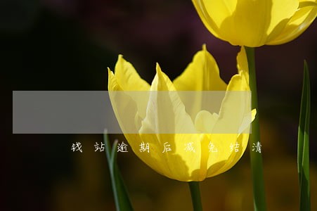 钱站逾期后减免结清
