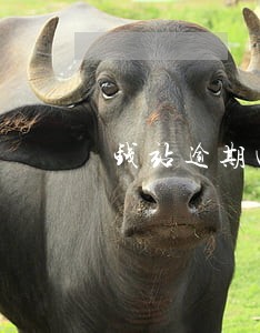钱站逾期四天为啥没人联系我 钱站逾期四天为啥没人联系我
